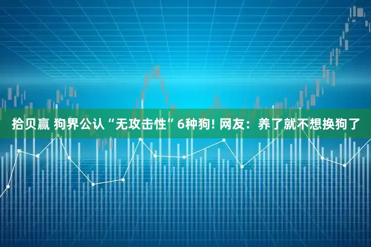 拾贝赢 狗界公认“无攻击性”6种狗! 网友：养了就不想换狗了